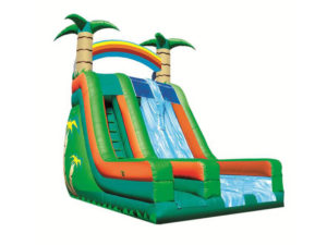 22’ Tropical 2 Lane Dry Slide