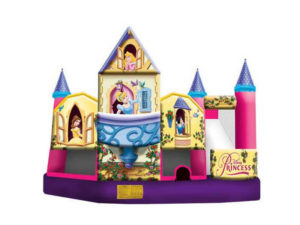 17' Disney Princess 3D 5-in-1 Combo